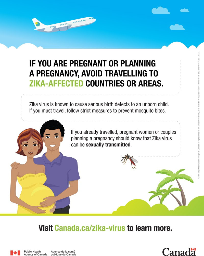 Zika pregnant pregnancy